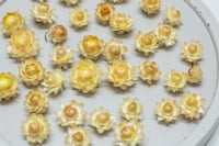 Image 3 of 60 Strawflower Heads - Various Sizes - Golden 