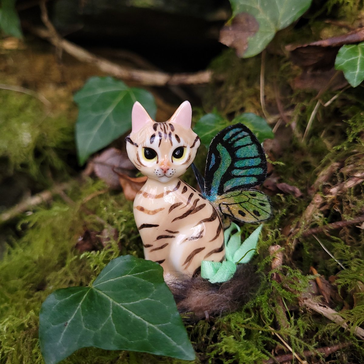 Image of Fairy Trinkitty Brown Tabby