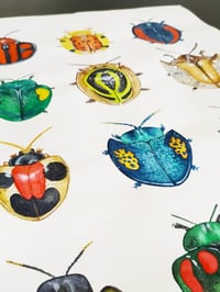Image 6 of Cassidinae Beetles Watercolor Illustration PRINT 