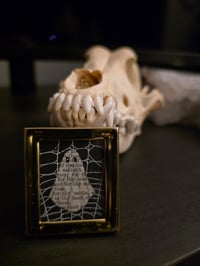 Image 1 of 1800’s biblical Ghost with preserved spider web -18