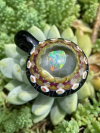 Image 2 of Opal Shells