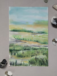 Image 1 of Wetlands 1