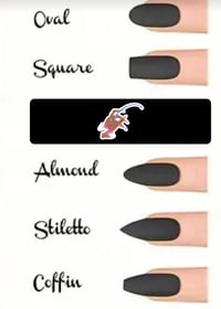 Image 2 of Nail Sizing Kit