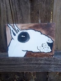 Image 2 of Bull Terrier Portrait 