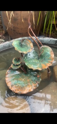Image 1 of 🌿Lovely Leaves 🌿