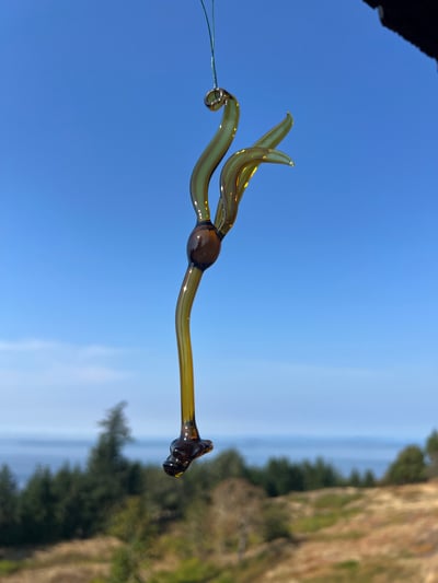 Image of Bull Kelp Ornament
