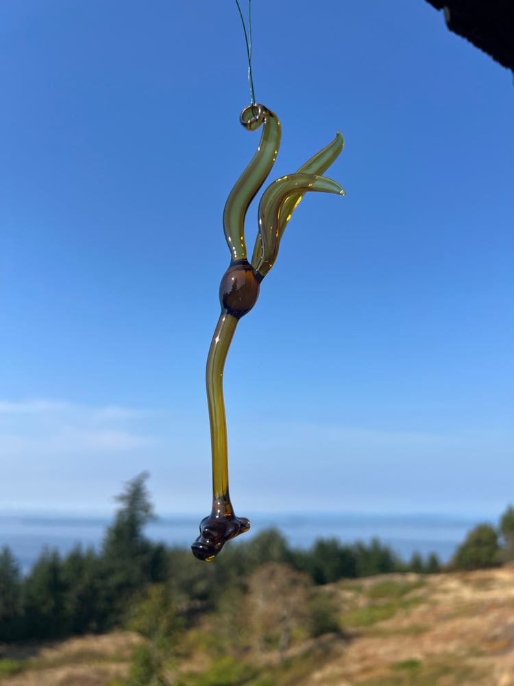Image of Bull Kelp Ornament