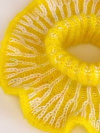 Image 2 of Sofie and Iris Sunshine☀️Mohair Collar