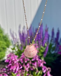Image 2 of Scallop Shell Necklace N181