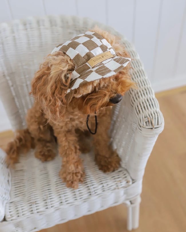 Brown Designer Pet Bucket Hat Edna & Co