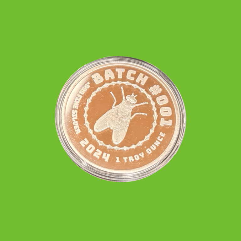 SILVER HOBO COIN 2024 (#614) Image 2