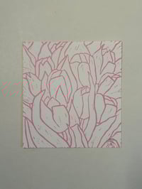 Image 1 of Tulips (pink)