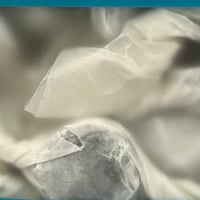 Image 3 of Honey Throat Drops