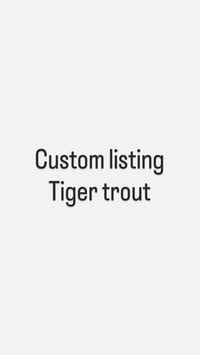 Image 1 of Custom Listing - Tiger Trout 