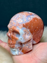 Image 4 of Druzy Pink Petal Agate Skull Carving #2240