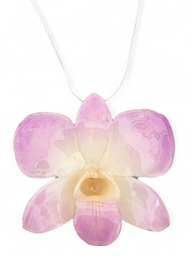 Image of Dendrobium Orchid Pendants (Purples)