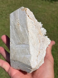 Image 8 of Calcite Crystal Reef Formation Specimen #1242