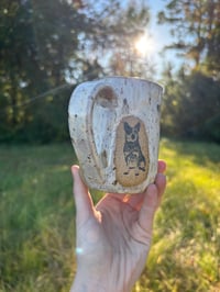 Image 3 of Western pony + cattle dog speckled white