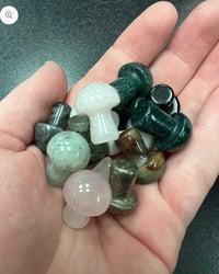Mystery Mini Mushie