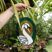 Image 1 of Swan in the Park