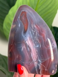 Image 4 of MOZAMBIQUE AGATE FREEFORM #26