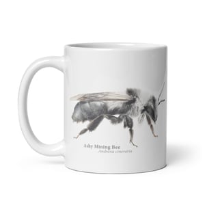 Andrena Nomada mug