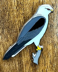 Image 2 of Black-winged Kite - No.155 - UK Birding Pins 