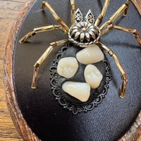 Image 3 of Toothy spider (a, 2x2.5 inches)