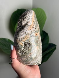 Image 2 of PEACHY GREEN VEINLESS OCEAN JASPER FREEFORM -MADAGASCAR-