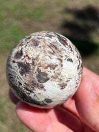 Image 9 of Money Agate Sphere #2834