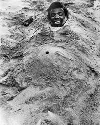 Image 19 of Harry Lapow - Coney Island Beach People, 1978