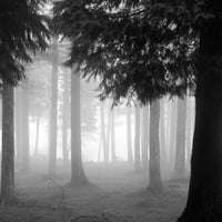 Image 1 of Lumberjack 