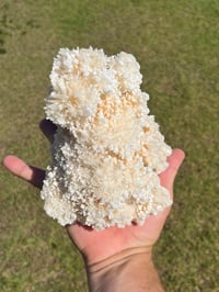 Image 16 of Aragonite On White Calcite Specimen #1243