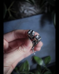 Image 3 of Real wisdom teeth earrings