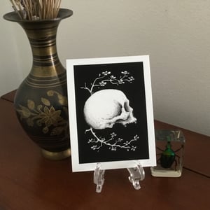 Skull And Cherry Blossoms Mini Print