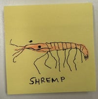 shremp