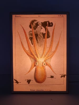 Image of Exploradora