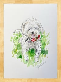 Image 2 of Custom Pet Portraits