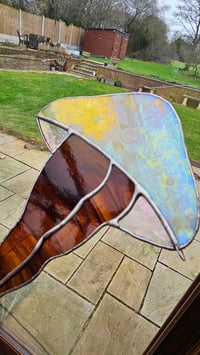 Image 2 of Mushroom bum 3