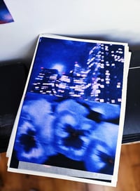 Image 2 of PANSY, NIGHT DRIVE