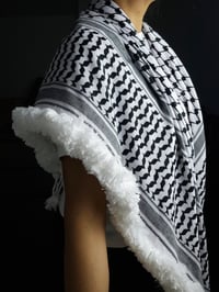 Image 4 of The Royal Palestinian Keffiyeh (Made in Jordan)