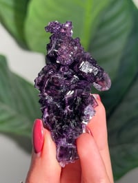 Image 3 of HIGH QUALITY SUGAR COATED PURPLE CUBIC FLUORITE -CHINA-