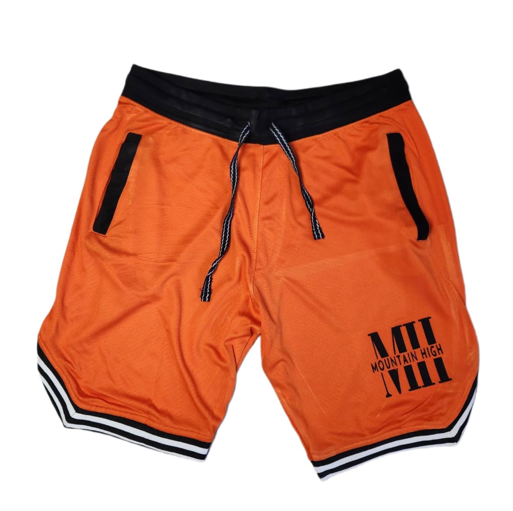 Image of MH BALL SHORT (Orange)