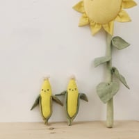 Image 6 of vegetable dye vegetables