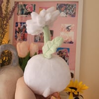 Image 3 of Daisy Korpokkur Plush