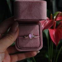 Image 1 of Pink Pearl 