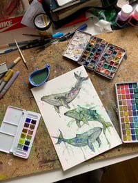 Image 2 of 3 Baleines 