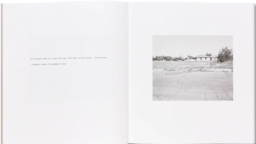 Susan Lipper - Domesticated Land (Signed)