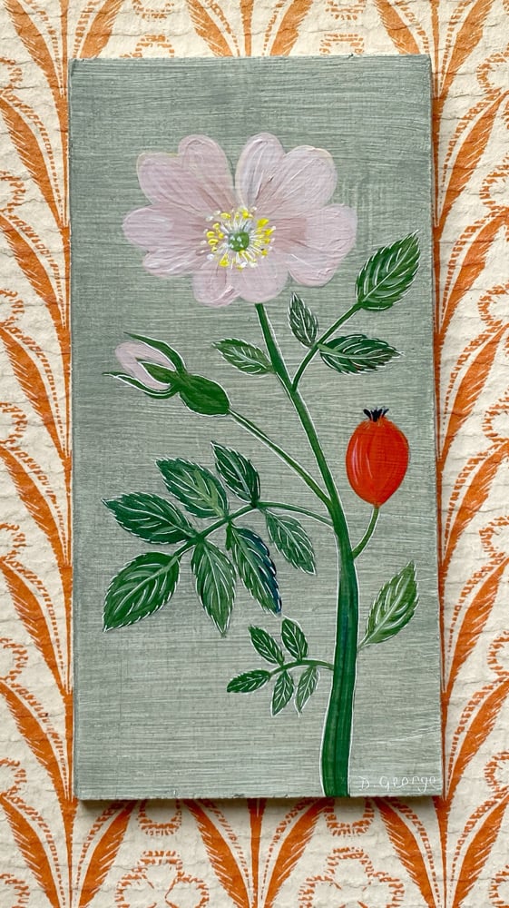Image of Wild Rose 