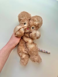Image 1 of Floofy Mouse
